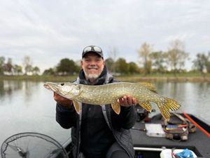 Northern Pike