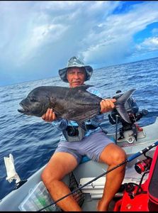 Black Trevally