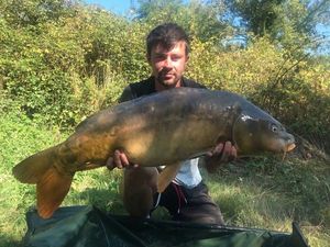 Mirror Carp