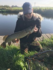 Northern Pike