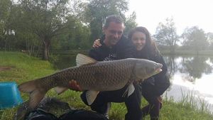Grass Carp