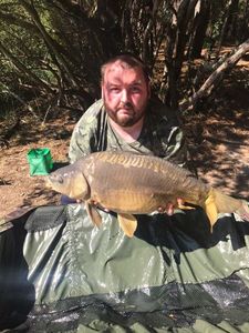 Mirror Carp