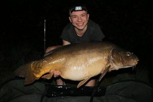 Mirror Carp
