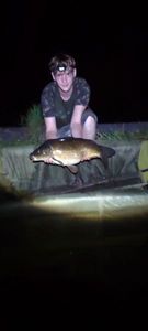 Common Carp