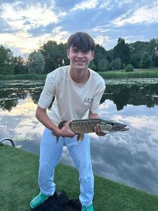 Northern Pike