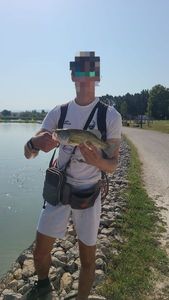 Largemouth Bass