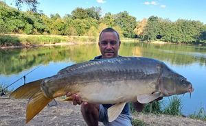 Mirror Carp