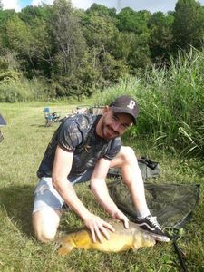 Mirror Carp