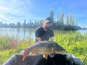 Mirror Carp