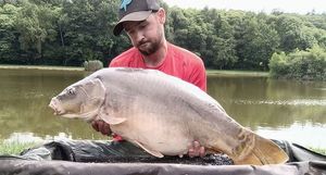 Mirror Carp