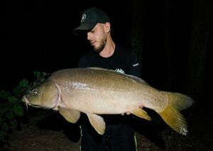 Mirror Carp