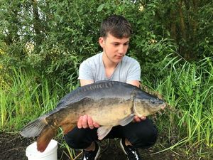 Mirror Carp