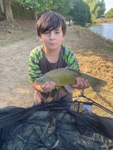 Tench