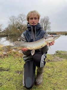Northern Pike