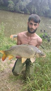 Common Carp