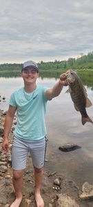 Smallmouth Bass