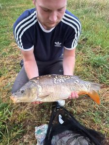 Leather Carp
