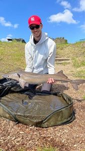 Sturgeon