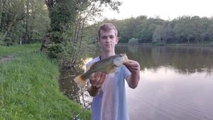 Largemouth Bass