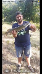 Northern Pike