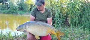 Mirror Carp
