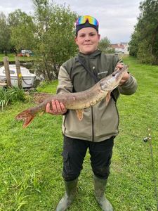 Northern Pike
