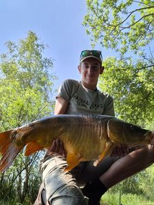 Mirror Carp