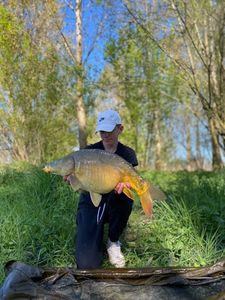 Leather Carp