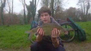 Common Bream