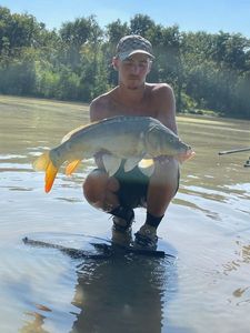Leather Carp