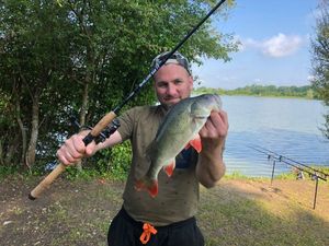 European Perch