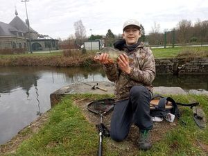 European Perch