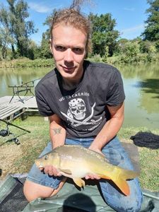 Mirror Carp