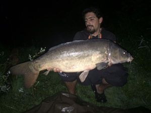 Mirror Carp