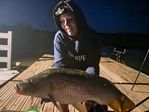 Common Carp