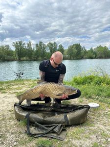 Grass Carp