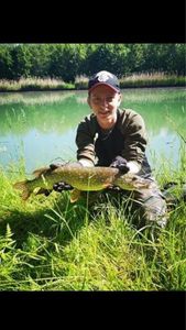 Northern Pike