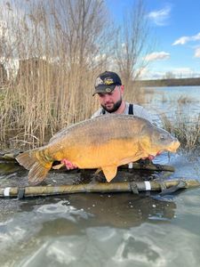 Leather Carp