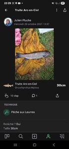 Rainbow Trout