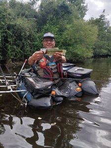 Largemouth Bass
