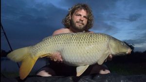 Common Carp