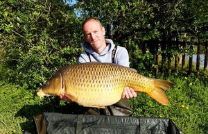 Common Carp