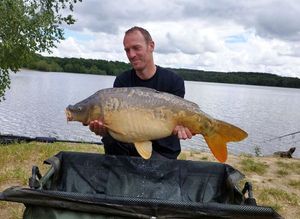 Mirror Carp