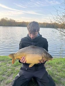 Mirror Carp