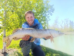 Northern Pike
