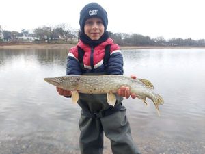 Northern Pike