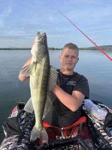 Zander