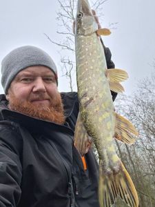 Northern Pike