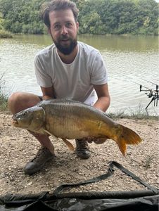 Mirror Carp