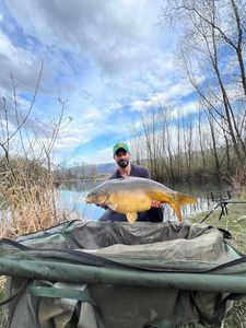 Leather Carp
